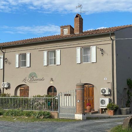 Agriturismo Le Biricoccole 베이다 외부 사진