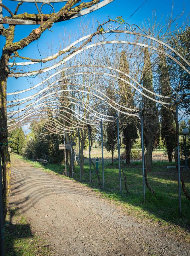 Agriturismo Le Biricoccole 베이다 외부 사진