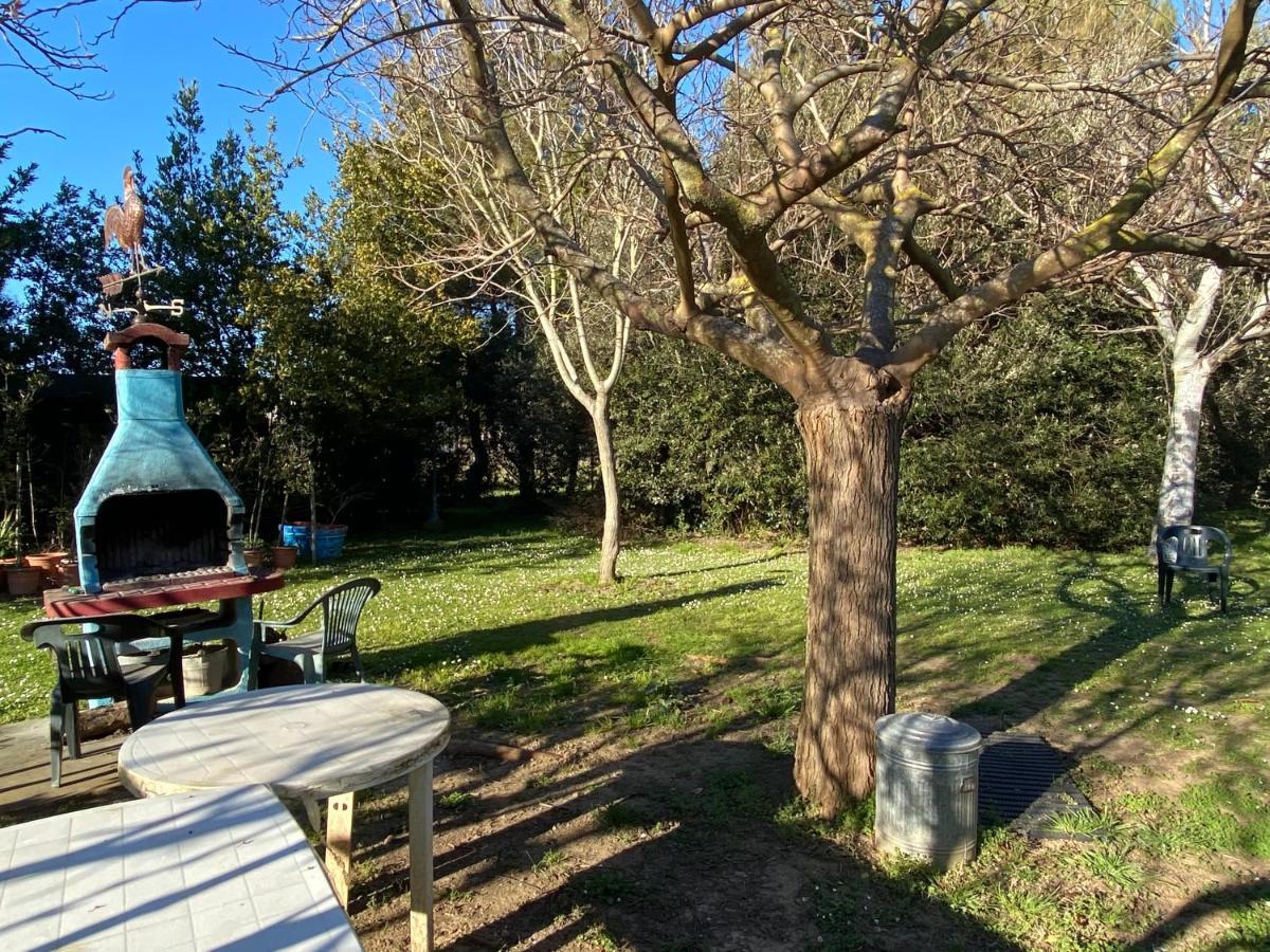 Agriturismo Le Biricoccole 베이다 외부 사진