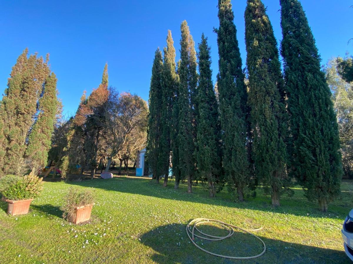 Agriturismo Le Biricoccole 베이다 외부 사진