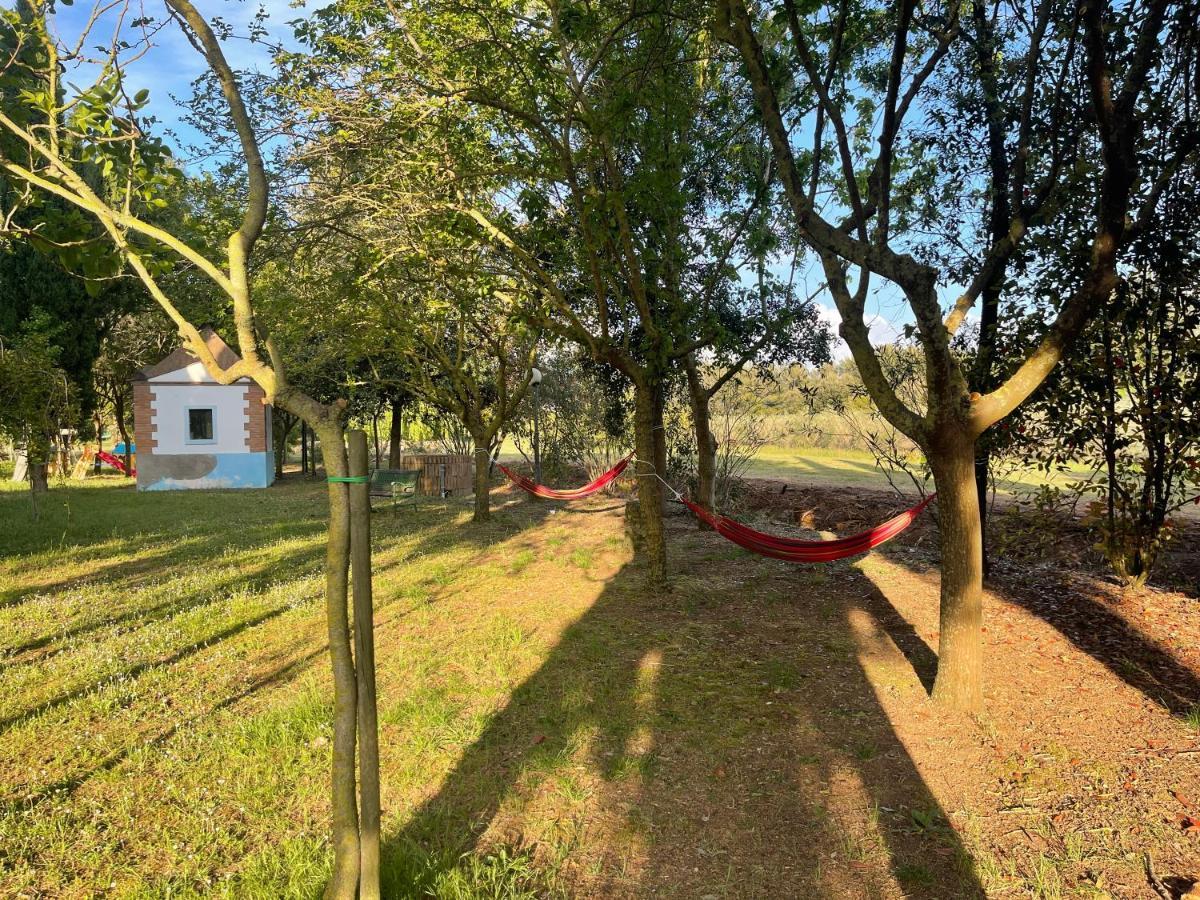 Agriturismo Le Biricoccole 베이다 외부 사진