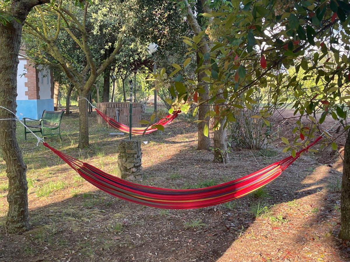 Agriturismo Le Biricoccole 베이다 외부 사진