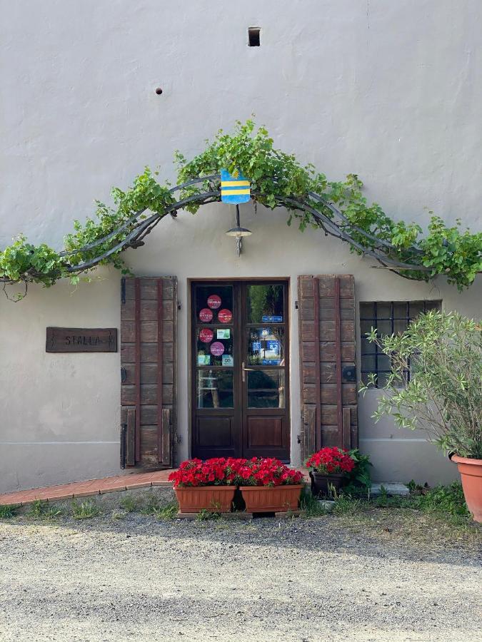 Agriturismo Le Biricoccole 베이다 외부 사진