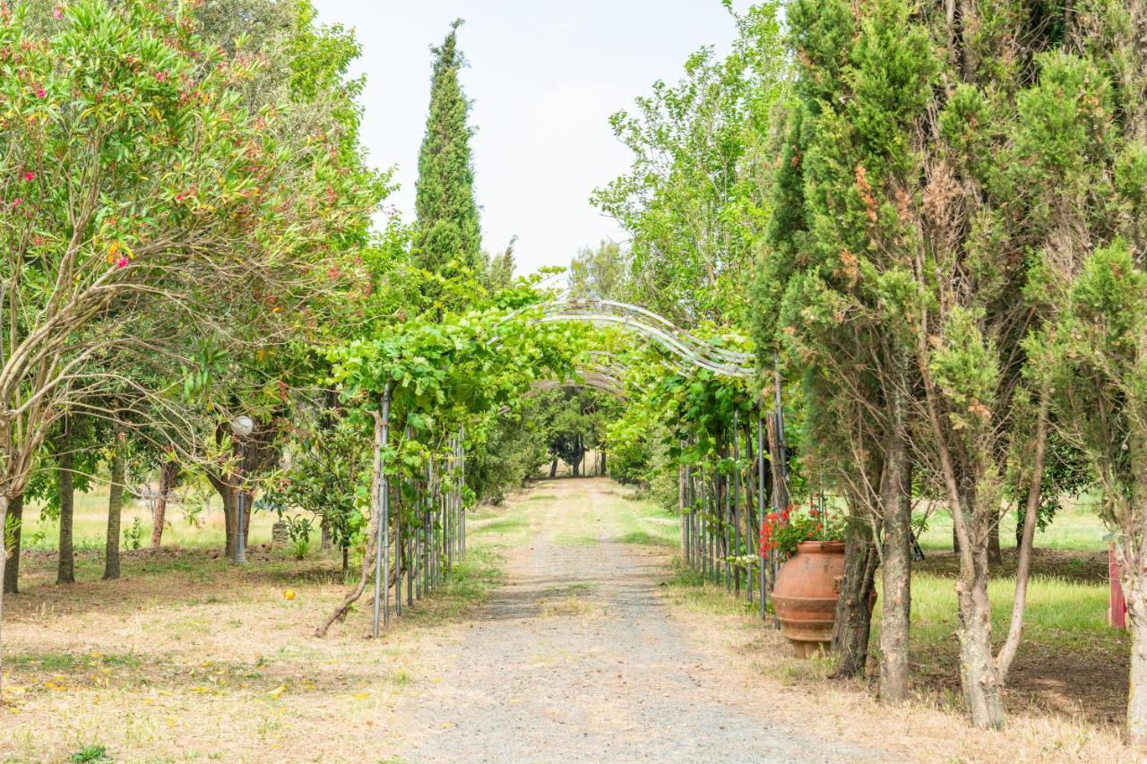 Agriturismo Le Biricoccole 베이다 외부 사진