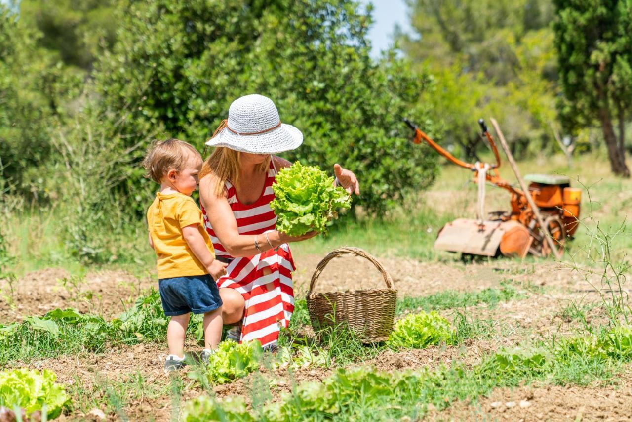 Agriturismo Le Biricoccole 베이다 외부 사진