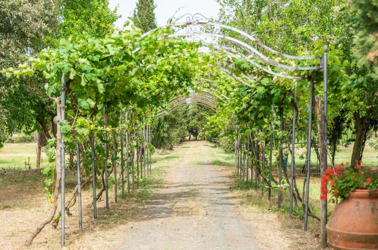 Agriturismo Le Biricoccole 베이다 외부 사진